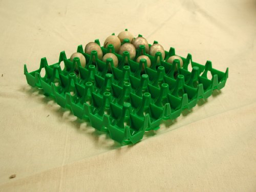 Extra Large Egg Hatching Trays For Sportsman Egg Incubators