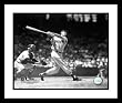 Ted Williams Boston Red Sox MLB Framed 8x10 Photograph Swinging
