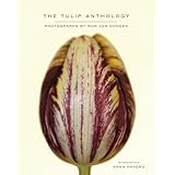 tulip anthology