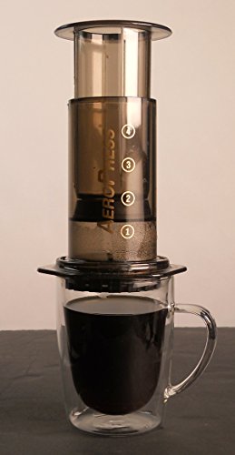 Javiere Double Walled Glass Mug