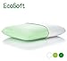 EcoSoft CORE Natural Oil-based Memory Foam Pillow (STANDARD, 24 x 16 x 5 inches)