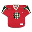 Youth Minnesota Wild Team Replica Jersey