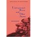 Underground River and Other Stories (Latin American Women Writers)