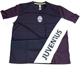 Lightweight Juventus Premier League Dri-Fit Soccer Jersey - Black Model