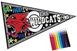 Party Supplies - High School Musical Velvet Coloring Pennant (1)