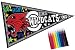 Party Supplies - High School Musical Velvet Coloring Pennant (1)