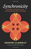 Synchronicity : nature and psyche in an interconnected universe