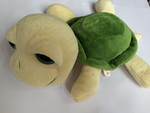 Turtle From the Stars