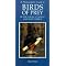 Birds (Africa - Eastern)
