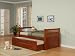 Twin Size Bed with Trundle in Burnished Pine Finish