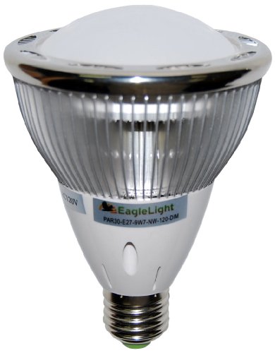 Dimmable PAR30 LED Flood Light 9W (replaces up to 75W)