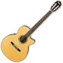 Ibanez - Guitares classiques electro acoustiques AEG10NE NT