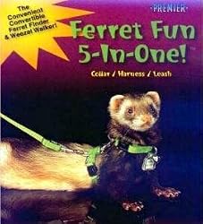 Ferret Fun 5-In-One!, Color: Red