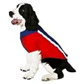 Pet Colorblock Polo