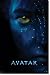 Avatar Movie (Face) Poster Print - 22