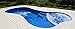 Leslie's Ultra Bright Enhancer to Clear Cloudy Pool or Spa Water 1 Quart [Pack of 2 Bottles]