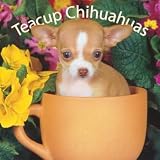 Teacup Chihuahuas 2008 Wall Calendar