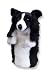 Daphne's Border Collie Golf Head Cover