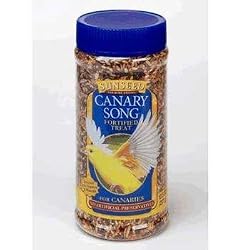 Canary Song