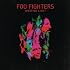 Foo Fighters Wasting Light MP3 Download $3.99 