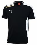 PUMA Herren Trainings-Shirt Esito Tee
