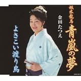 ~坂本龍馬~青嵐の夢