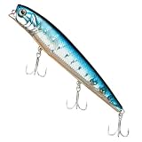 ������Daiwa TD����ȥڥ󥷥�