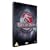 Jurassic Park/The Lost World - Jurassic Park/Jurassic Park 3 [DVD] [1993]