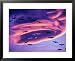 Sandhill Cranes in Flight and Lenticular Cloud Formation over Mt. Shasta, California Framed Art Poster Print by Tom Haseltine, 31x25