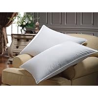 Set of 2 Down Alternative Pillows, King Size, 300 Thread Count Cover 100% Egyptian Cotton, Allergy Free
