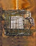 Squirrel Proof Suet Feeder