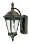 Thomas Lighting M526040 Park Place Small Outdoor Sconce,
