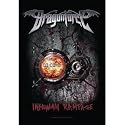 Dragonforce - Poster Flags