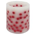 Smith & Hawken&reg; Berries Candle - Small