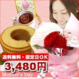 m320【5/7(土)お届け】【送料無料】そのまま飾れる不思議なブーケと幸せのスイーツ&ハーブTEAセット 【母の日】【期間限定】【指定日限定】【沖縄・離島は配送いたしません】【母の日2011】