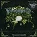 Von Folk bis Power Metal die besten Bands