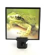 Frog Night Light Illuminating Nite Lite