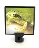 Frog Night Light Illuminating Nite Lite