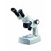 National Optical 410TBL-10 Stereo Microscope with Inclined Head, 10x Eyepiece, 1x and 3x Objective, 10x and 30x Magnification