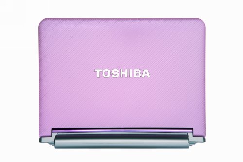 Toshiba Mini NB205-N313/P 10.1-Inch Posh Pink Netbook - 9 Hour Battery Life