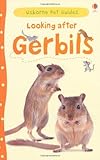 Looking after gerbils