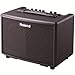 Roland AC-33 Acoustic Chorus Battery-powered 30-Watt Guitar Amplifier, Black