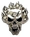 Rock Rebel Accessory FLAMING SKULL Belt-Buckle