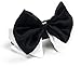 Platinum Pets Formal Pet Bow Tie and Collar, 9 to 10-Inch, White