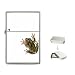 Limited Edition Violano Flip-Top Lighter Frog Ladybug Art