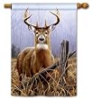 Watchful Buck Standard House Flag