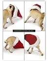 Sniffing Pug Dog with Santa Hat Christmas Holiday Greeting Card 10 Pack Set Gifty Idea