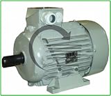Produkt-Bild: Drehstrommotor 0,55 KW 0,75 PS 3000 U/min., Hersteller: SBN, Sb_39111