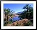 Date Palms in the Draa Valley, Draa Valley, Ouarzazate, Morocco Lonely Planet Collection Framed Art Poster Print by John Elk III, 39x31