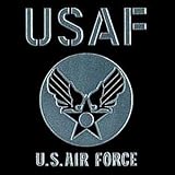 彩蒔絵シール ミリタリー蒔絵シール USAF　銀（シルバー）